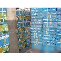 浙江加盟牌批发与供应市场分析