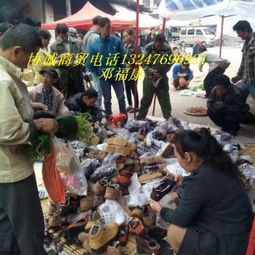 协诚商贸 深圳宝安区松岗的专业新奇特产品批发贸易伙伴